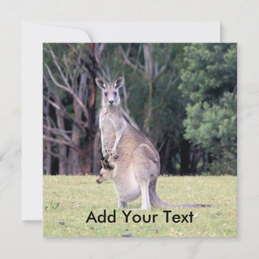 Invitation Mère Kangaroo avec bébé Joey dans sa poche (Devant)