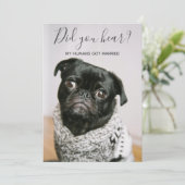 Invitation Mes humains ont épousé un chien Photo Mariage Elop (Debout devant)