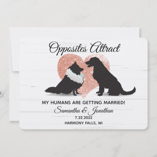 Invitation Mes Humains Se Marient - Des Chiens Différents (Devant)