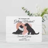 Invitation Mes humains se marient-les-Chiens sauvent la date (Debout devant)