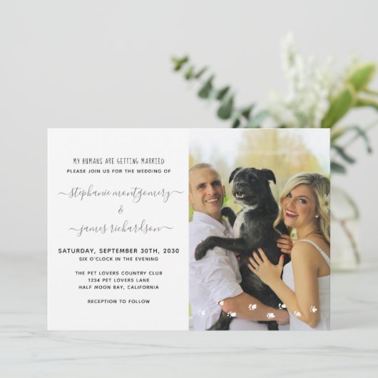 Invitation Mes Humains Se Marient Mariage Photo Animal De Com (Debout devant)