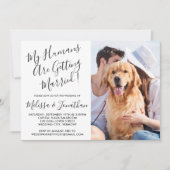 Invitation Mes Humains Se Marient Photo Animale Moderne (Devant)