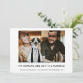 Invitation Mes humains se marient Photo Fiançailles (Debout devant)