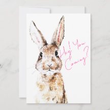 Messager Lapin