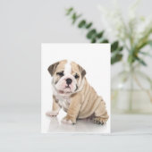 Invitation Mignon chiot bouledogue triste (Debout devant)