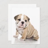 Invitation Mignon chiot bouledogue triste (Devant / Derrière)