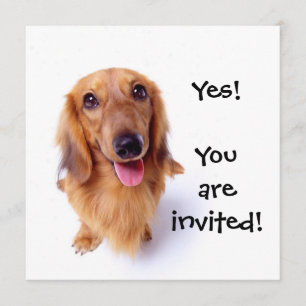 Invitation Mignonne chiot "Tu es invitée !" Parti personnalis