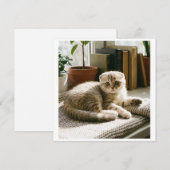 Invitation mignonne de chat Scottish Fold Chaton m (Devant / Derrière)