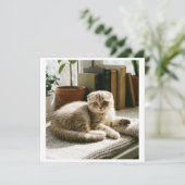 Invitation mignonne de chat Scottish Fold Chaton m (Debout devant)