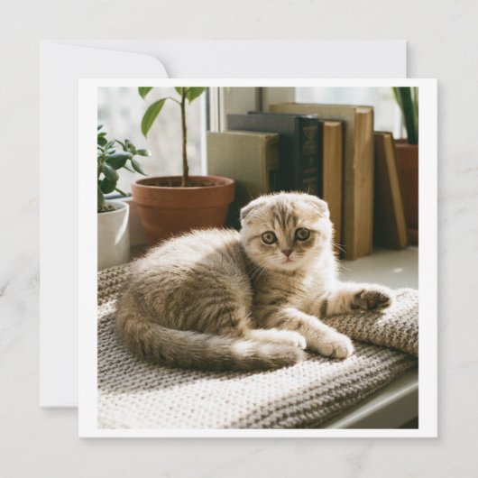 Invitation mignonne de chat Scottish Fold Chaton m (Devant)