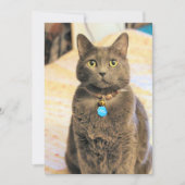 Invitation Mims (Devant)