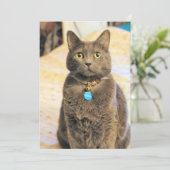 Invitation Mims (Debout devant)