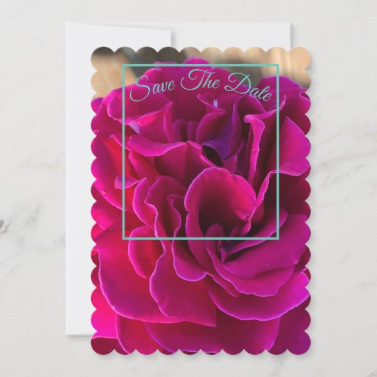 Invitation Mind Edition : Scalloped Enregistrer La Date (Devant)