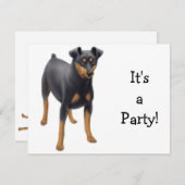 Invitation Miniature Pinscher (Devant / Derrière)