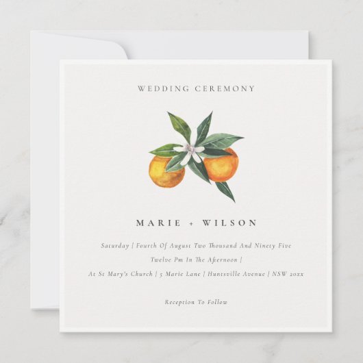 Invitation Minimal Chic Orange Boho Botanical Wedd (Devant)
