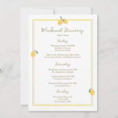 Invitation Minimal Lemon Amalfi Coast Wedding Itinerary Card (Devant)