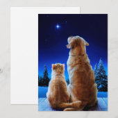 Invitation Miracle de Noël pour chat et chien (Devant / Derrière)