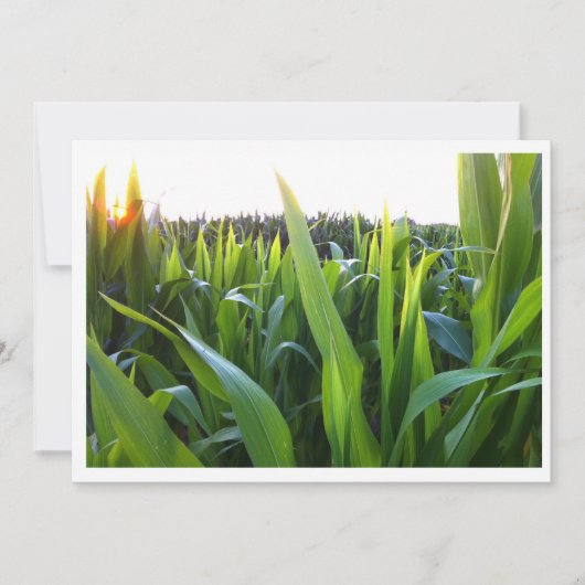 Invitation Modèle de l'invitation de photographie de la récol (Devant)