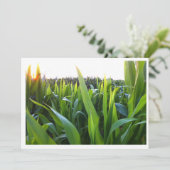 Invitation Modèle de l'invitation de photographie de la récol (Debout devant)