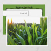 Invitation Modèle de l'invitation de photographie de la récol (Devant / Derrière)