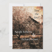 Invitation Modèle d'invitation de mariage champêtre (Devant)