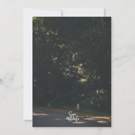 Invitation Modern Elegant Script Custom Photo Wedding  (Dos)