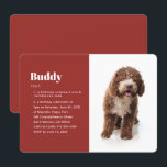 Invitation Moderne Funny Photo Animaux de compagnie Anniversa<br><div class="desc">Ajoutez de nouvelles définitions pour le nom de votre animal. C'est une invitation drôle et unique pour l'anniversaire d'un animal de compagnie. Disponible ici : http://www.zazzle.com/selectpartysupplies</div>