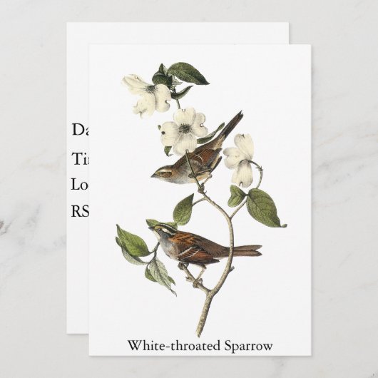 Invitation moineau Blanc-throated - John Audubon (Devant / Derrière)