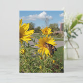 Invitation Monarque au parc Wilkeson Pointe (Debout devant)