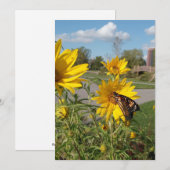 Invitation Monarque au parc Wilkeson Pointe (Devant / Derrière)