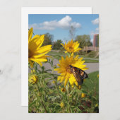 Invitation Monarque au parc Wilkeson Pointe (Devant / Derrière)