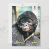 Invitation MONKEYS (Devant)