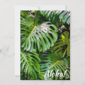 Invitation Monstera Feuilles, Limahuli Gardens, Kauai, Hawaii (Devant)