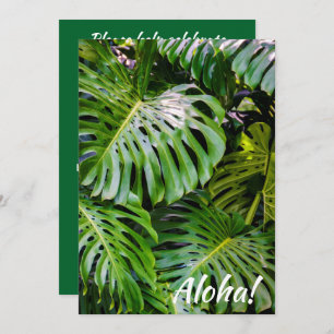 Invitation Monstera Feuilles, Limahuli Gardens, Kauai, Hawaii