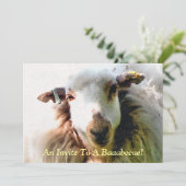 INVITATION MOQUETTE (Debout devant)