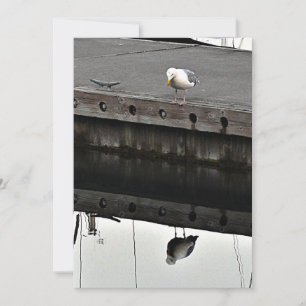 Invitation Mouette réfléchissante