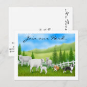 Invitation Moutons et bordures (Devant / Derrière)