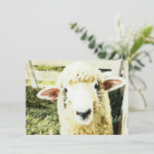 Invitation Moutons pelucheux blancs mignons (Debout devant)