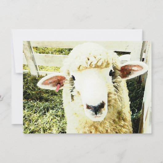 Invitation Moutons pelucheux blancs mignons (Devant)