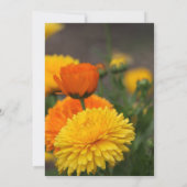 Invitation Mums orange jaune (Dos)