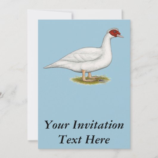 Invitation Muscovy blanc de canard (Devant)