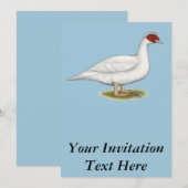 Invitation Muscovy blanc de canard (Devant / Derrière)