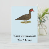 Invitation Muscovy Drake Chocolat (Debout devant)