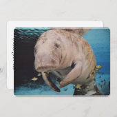 Invitation Natation de vache marine (Devant / Derrière)