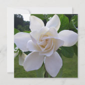 Invitation - Naturellement magnifique Gardenia (Devant)