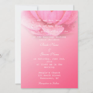Invitation nénuphar rose sur fond rose. 粉 红 色 睡 莲 。