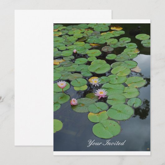 Invitation Nénuphars "Vous êtes invités" (Devant / Derrière)