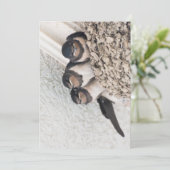 Invitation Nichons d'hirondelles assis dans le nid (Debout devant)