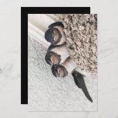 Invitation Nichons d'hirondelles assis dans le nid (Devant / Derrière)