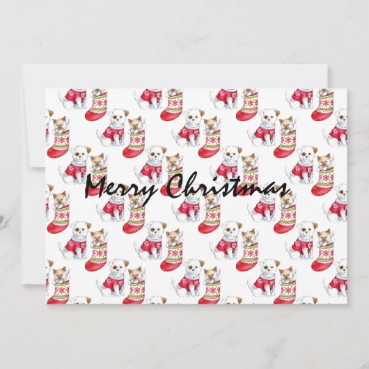 Invitation Noel Chien & Chat Stockings (Devant)